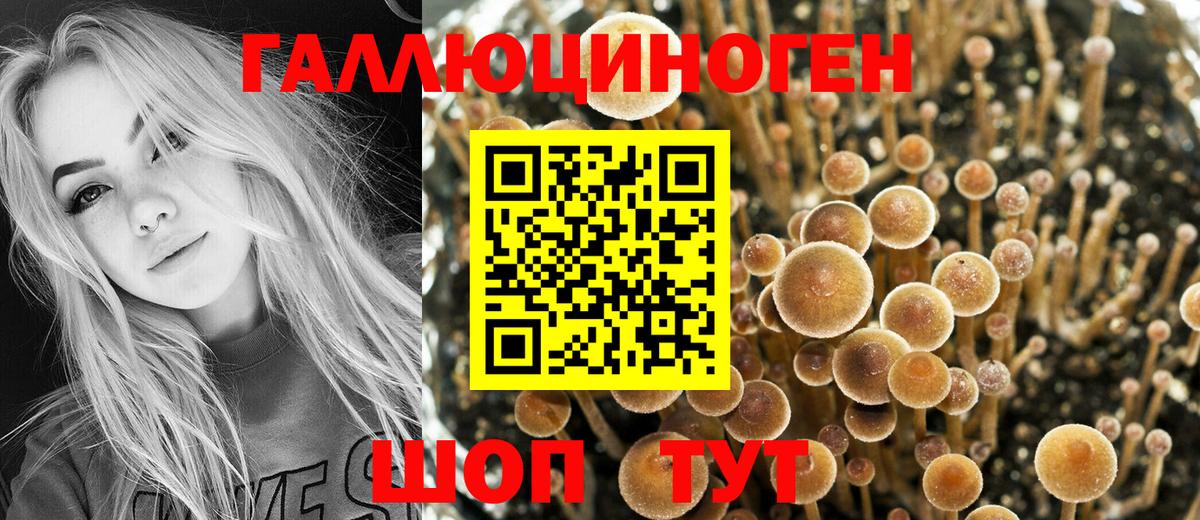 Галлюциногенные грибы MAGIC MUSHROOMS Салехард