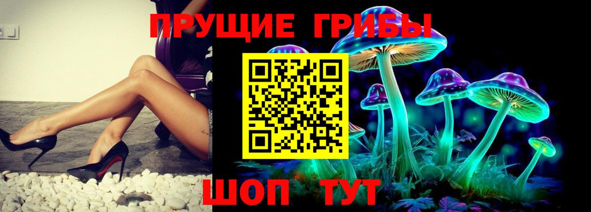 наркота  Галлюциногенные грибы прущие грибы  Вход с VPN  Салехард 